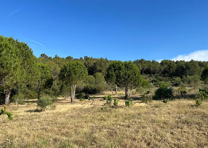 Maison Quartier La Campane *